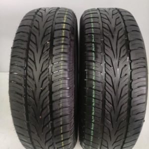 2 pneus semi novos 205-65-15